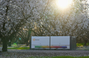 The BeeHome 4 surrounded by white flowering trees.